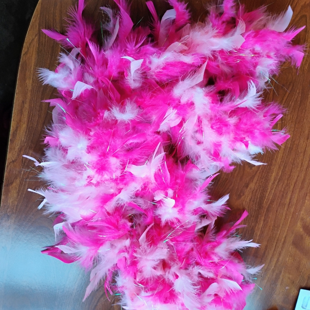 Vibrant Pink and White Feather Boa